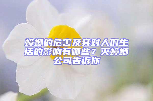 蟑螂的危害及其對人們生活的影響有哪些？滅蟑螂公司告訴你