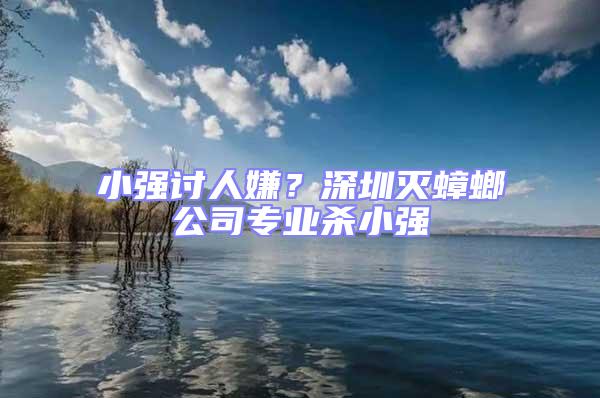 小強(qiáng)討人嫌？深圳滅蟑螂公司專業(yè)殺小強(qiáng)