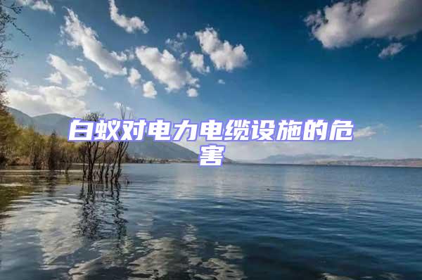 白蟻對(duì)電力電纜設(shè)施的危害