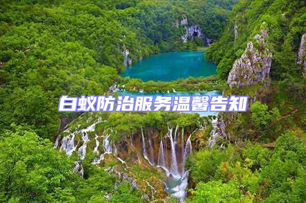 白蟻防治服務(wù)溫馨告知