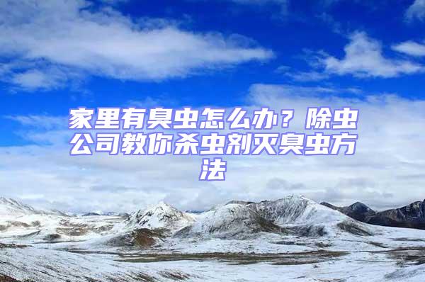 家里有臭蟲怎么辦？除蟲公司教你殺蟲劑滅臭蟲方法