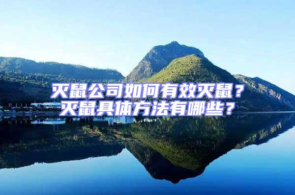 滅鼠公司如何有效滅鼠？滅鼠具體方法有哪些？