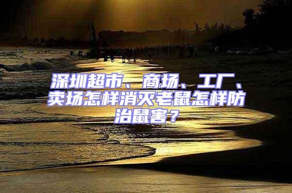 深圳超市、商場、工廠、賣場怎樣消滅老鼠怎樣防治鼠害？