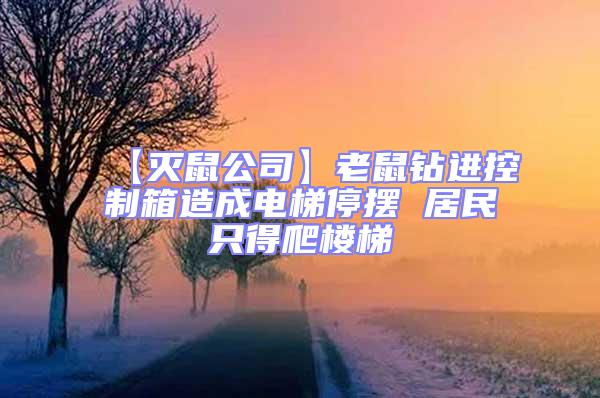 【滅鼠公司】老鼠鉆進(jìn)控制箱造成電梯停擺 居民只得爬樓梯