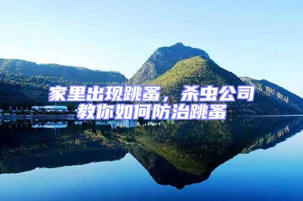 家里出現跳蚤，殺蟲公司教你如何防治跳蚤
