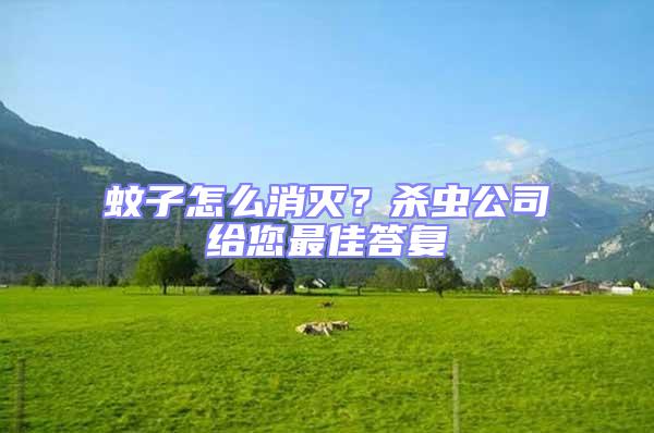 蚊子怎么消滅？殺蟲公司給您最佳答復(fù)