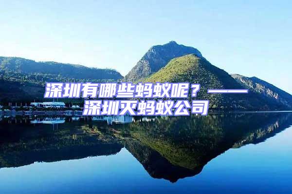 深圳有哪些螞蟻呢?——深圳滅螞蟻公司