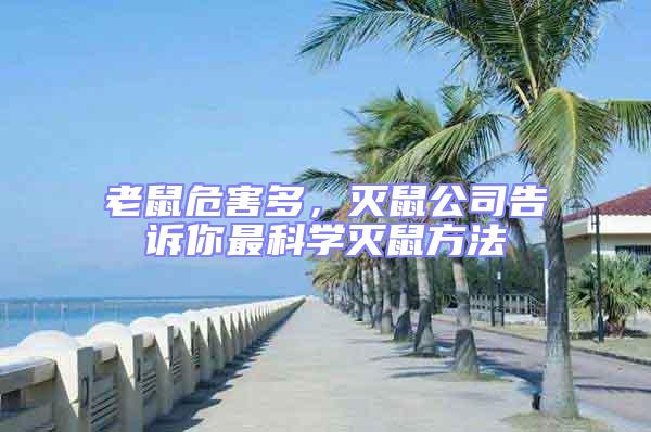 老鼠危害多，滅鼠公司告訴你最科學(xué)滅鼠方法