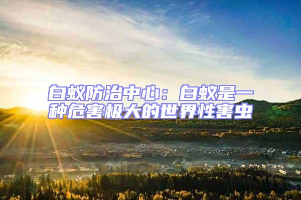 白蟻防治中心：白蟻是一種危害極大的世界性害蟲(chóng)