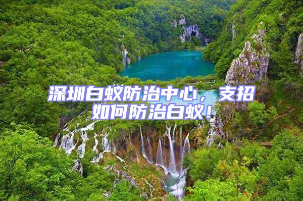 深圳白蟻防治中心，支招如何防治白蟻！