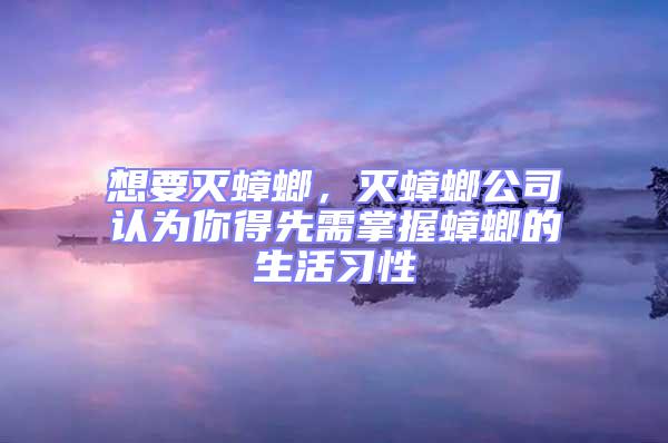 想要滅蟑螂，滅蟑螂公司認(rèn)為你得先需掌握蟑螂的生活習(xí)性