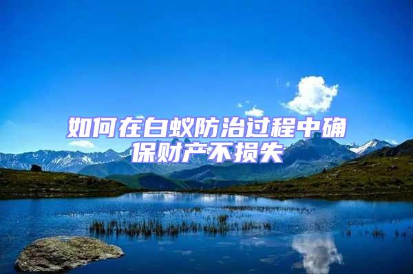如何在白蟻防治過程中確保財產(chǎn)不損失