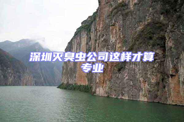 深圳滅臭蟲(chóng)公司這樣才算專業(yè)