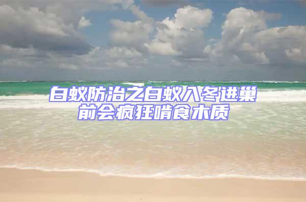 白蟻防治之白蟻入冬進(jìn)巢前會瘋狂啃食木質(zhì)