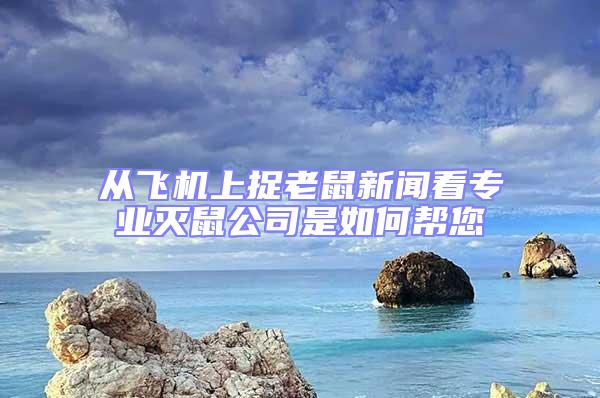 從飛機(jī)上捉老鼠新聞看專業(yè)滅鼠公司是如何幫您