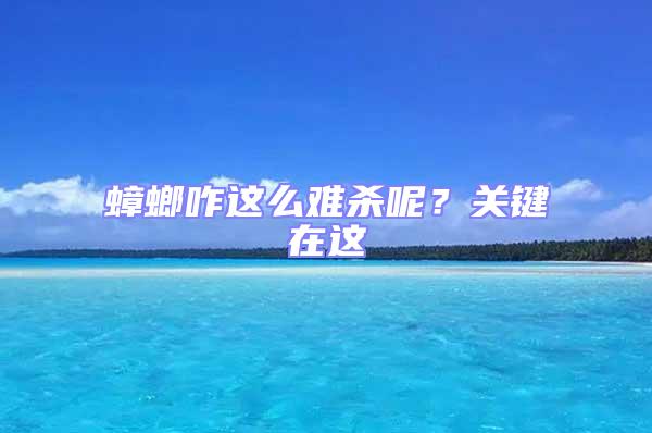 蟑螂咋這么難殺呢？關(guān)鍵在這