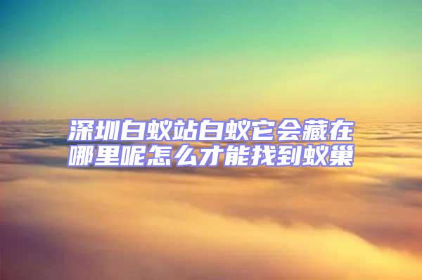 深圳白蟻站白蟻它會藏在哪里呢怎么才能找到蟻巢
