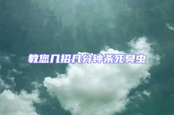 教您幾招幾分鐘殺死臭蟲(chóng)