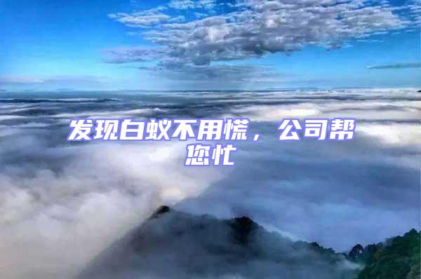 發(fā)現(xiàn)白蟻不用慌，公司幫您忙