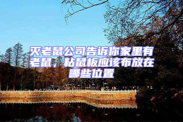 滅老鼠公司告訴你家里有老鼠，粘鼠板應(yīng)該布放在哪些位置