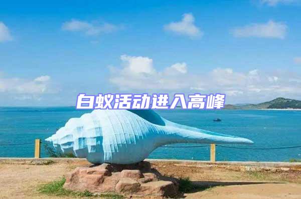 白蟻活動進入高峰