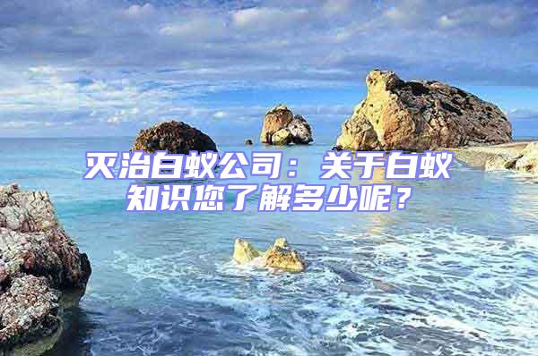 滅治白蟻公司：關(guān)于白蟻知識(shí)您了解多少呢？