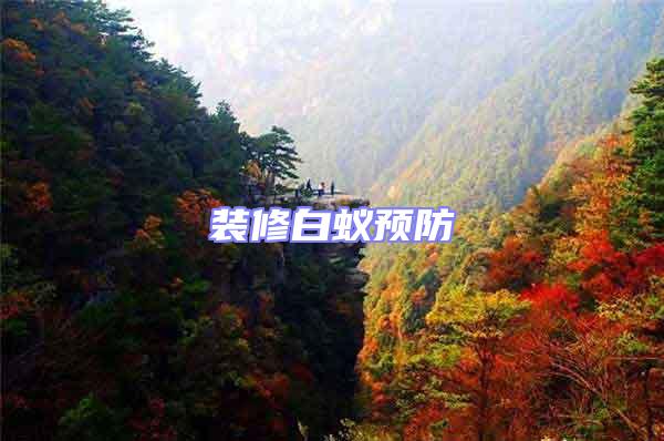裝修白蟻預(yù)防