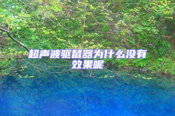 超聲波驅(qū)鼠器為什么沒有效果呢