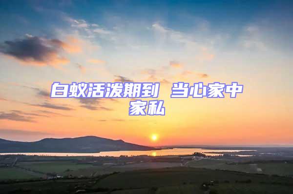 白蟻活潑期到 當(dāng)心家中家私