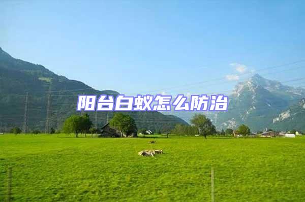 陽臺白蟻怎么防治
