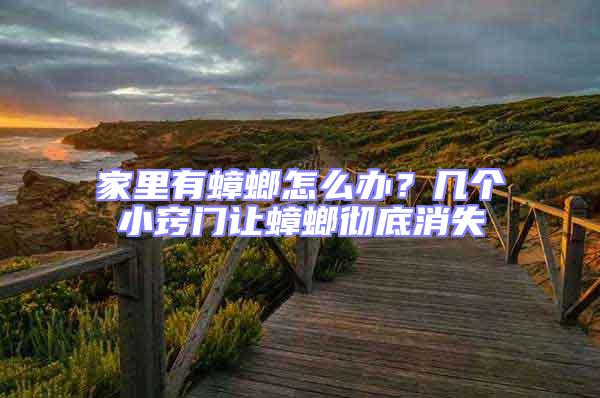 家里有蟑螂怎么辦？幾個(gè)小竅門(mén)讓蟑螂徹底消失