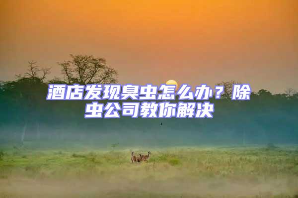酒店發(fā)現臭蟲怎么辦？除蟲公司教你解決