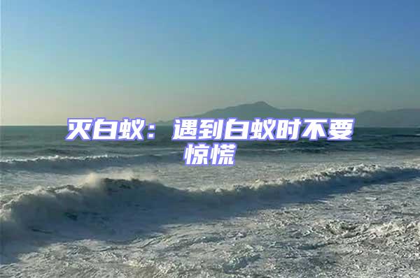 滅白蟻：遇到白蟻時(shí)不要驚慌