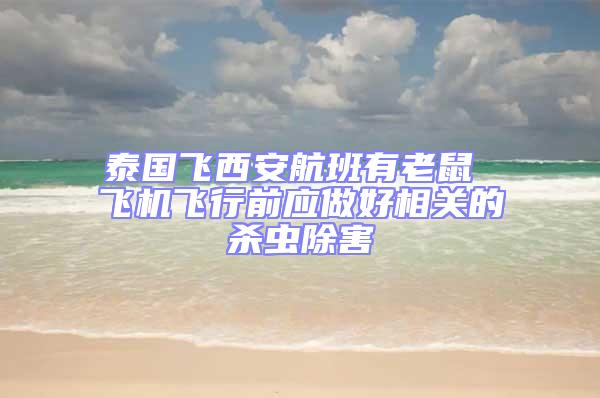 泰國飛西安航班有老鼠 飛機飛行前應(yīng)做好相關(guān)的殺蟲除害
