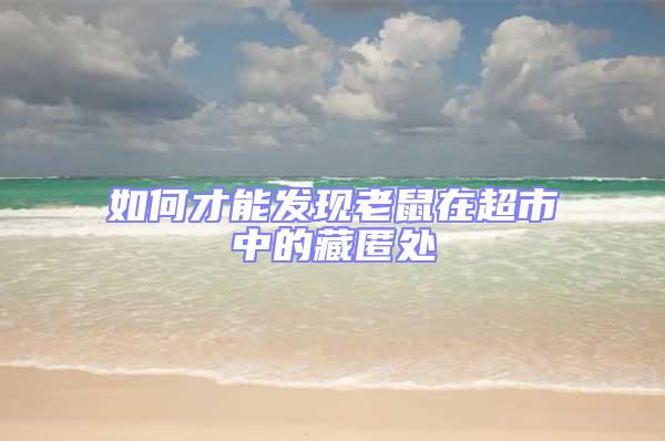 如何才能發(fā)現(xiàn)老鼠在超市中的藏匿處