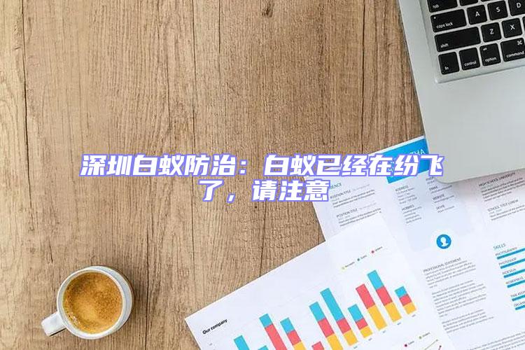 深圳白蟻防治：白蟻已經在紛飛了，請注意