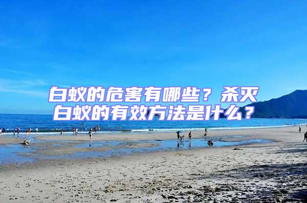 白蟻的危害有哪些？殺滅白蟻的有效方法是什么？
