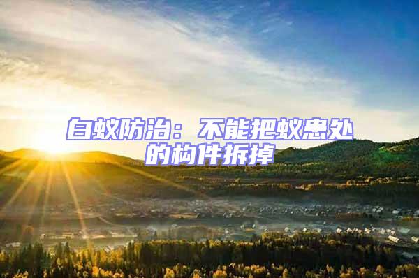 白蟻防治：不能把蟻患處的構(gòu)件拆掉
