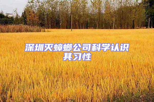 深圳滅蟑螂公司科學(xué)認(rèn)識其習(xí)性