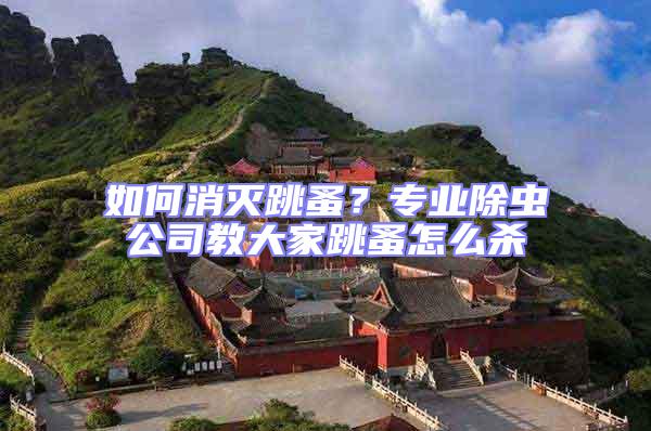 如何消滅跳蚤？專業(yè)除蟲(chóng)公司教大家跳蚤怎么殺