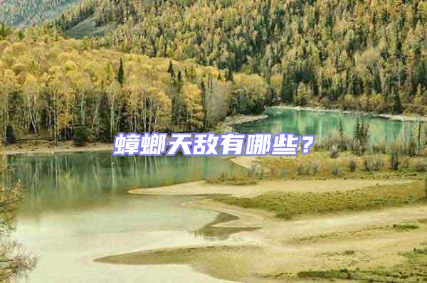 蟑螂天敵有哪些？