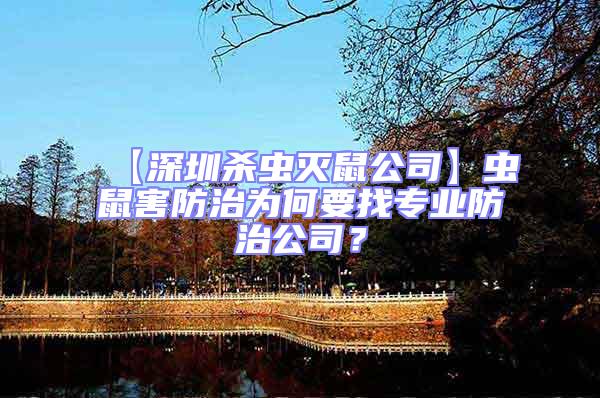 【深圳殺蟲(chóng)滅鼠公司】蟲(chóng)鼠害防治為何要找專業(yè)防治公司？