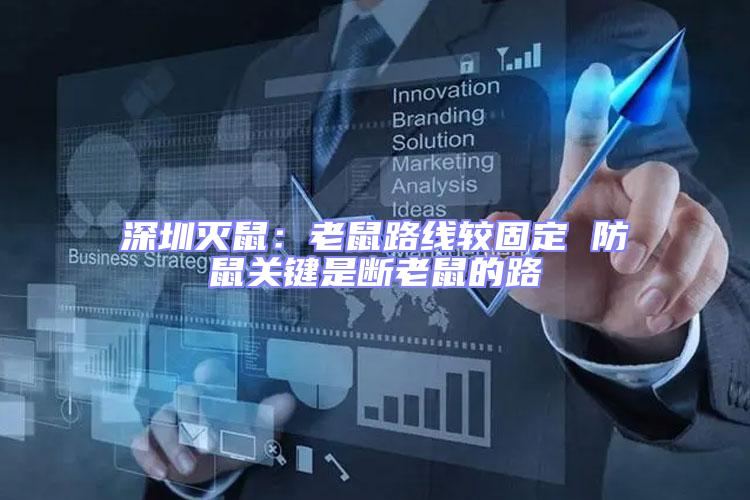 深圳滅鼠：老鼠路線較固定 防鼠關(guān)鍵是斷老鼠的路