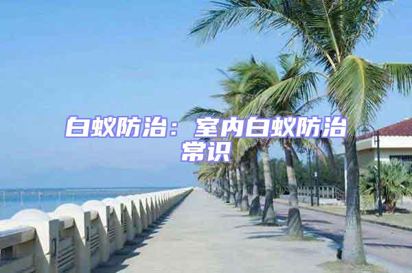 白蟻防治：室內(nèi)白蟻防治常識(shí)