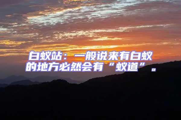 白蟻站:一般說來有白蟻的地方必然會有“蟻道”。