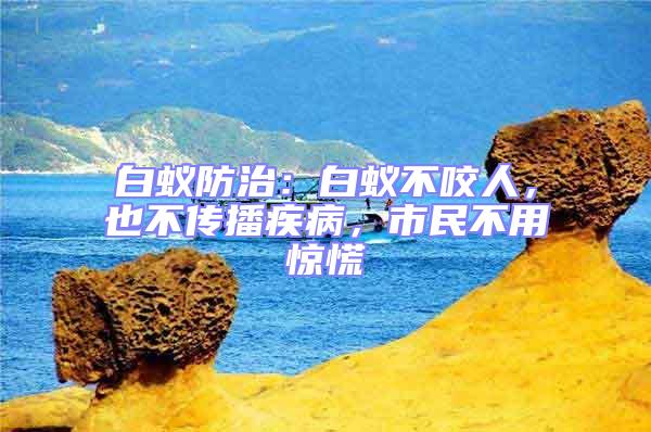 白蟻防治：白蟻不咬人，也不傳播疾病，市民不用驚慌