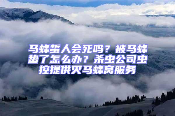 馬蜂蜇人會(huì)死嗎？被馬蜂蟄了怎么辦？殺蟲公司蟲控提供滅馬蜂窩服務(wù)