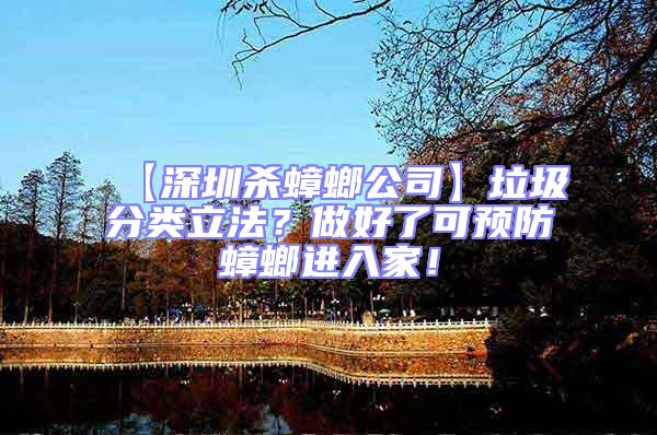 【深圳殺蟑螂公司】垃圾分類立法？做好了可預防蟑螂進入家！