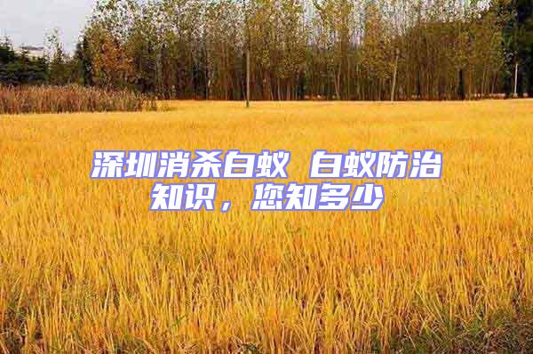 深圳消殺白蟻 白蟻防治知識，您知多少