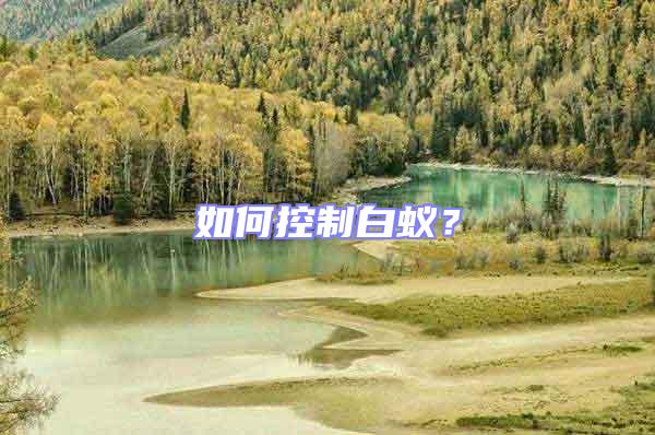如何控制白蟻？